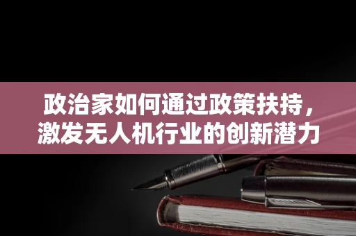 政治家如何通过政策扶持，激发无人机行业的创新潜力？