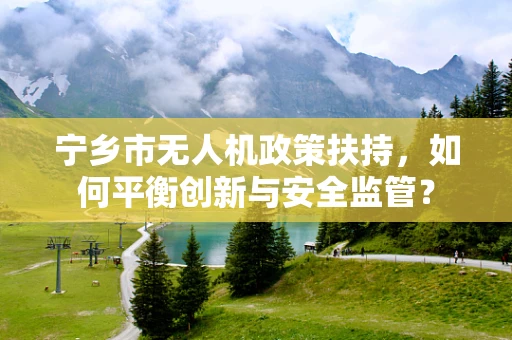 宁乡市无人机政策扶持，如何平衡创新与安全监管？