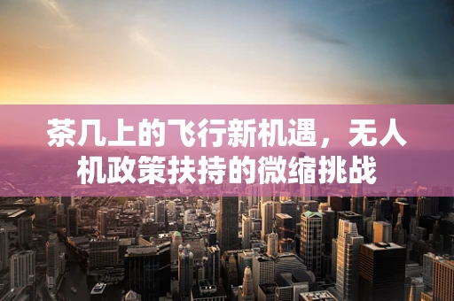 茶几上的飞行新机遇，无人机政策扶持的微缩挑战