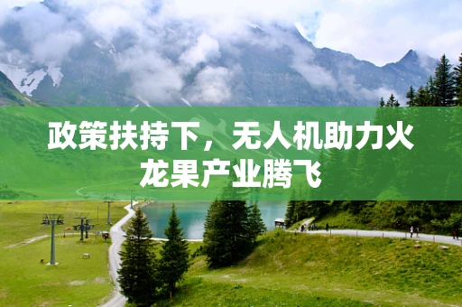 政策扶持下，无人机助力火龙果产业腾飞