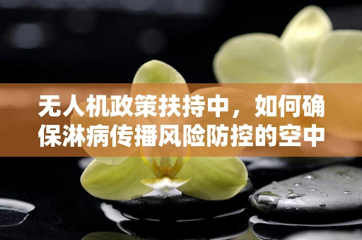 无人机政策扶持中，如何确保淋病传播风险防控的空中防线？