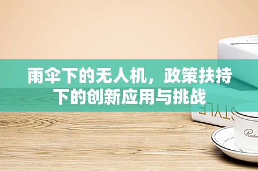 雨伞下的无人机，政策扶持下的创新应用与挑战