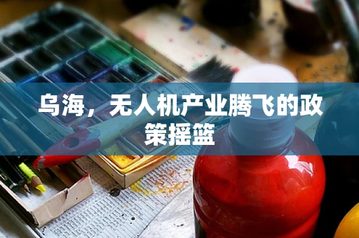 乌海，无人机产业腾飞的政策摇篮