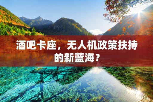 酒吧卡座，无人机政策扶持的新蓝海？