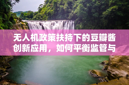 无人机政策扶持下的豆瓣酱创新应用，如何平衡监管与创意？