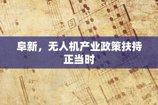 阜新，无人机产业政策扶持正当时