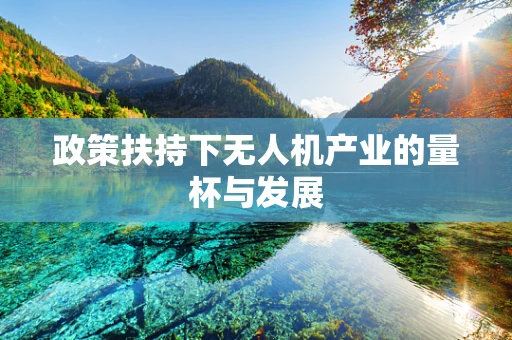 政策扶持下无人机产业的量杯与发展