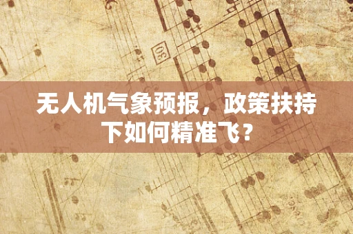 无人机气象预报，政策扶持下如何精准飞？