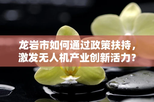 龙岩市如何通过政策扶持，激发无人机产业创新活力？