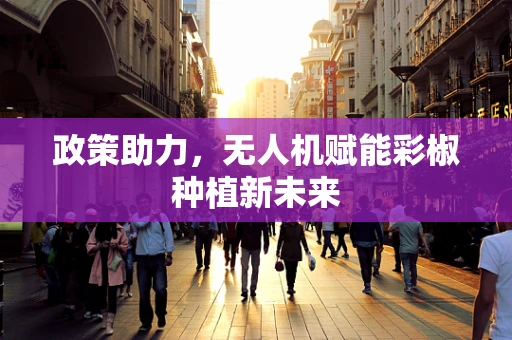 政策助力，无人机赋能彩椒种植新未来