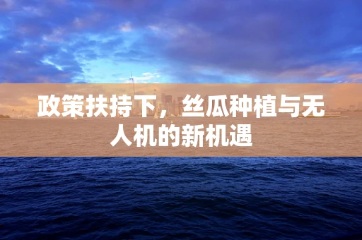 政策扶持下，丝瓜种植与无人机的新机遇