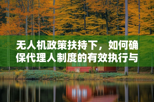 无人机政策扶持下，如何确保代理人制度的有效执行与监管？
