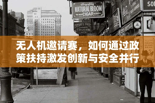 无人机邀请赛，如何通过政策扶持激发创新与安全并行的竞赛氛围？