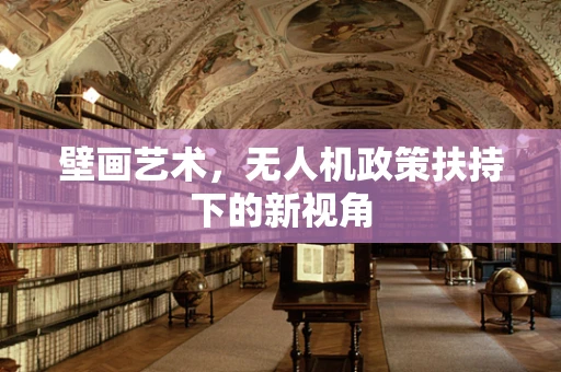 壁画艺术，无人机政策扶持下的新视角