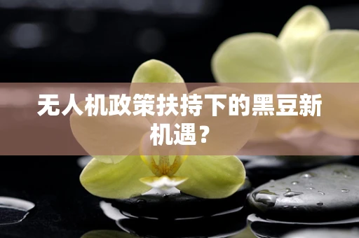 无人机政策扶持下的黑豆新机遇？