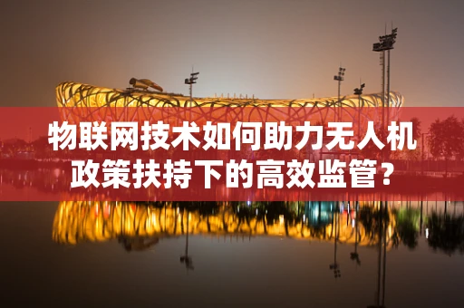物联网技术如何助力无人机政策扶持下的高效监管？