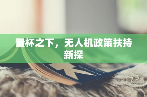 量杯之下，无人机政策扶持新探