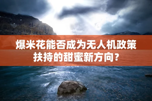爆米花能否成为无人机政策扶持的甜蜜新方向？