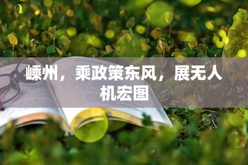 嵊州，乘政策东风，展无人机宏图