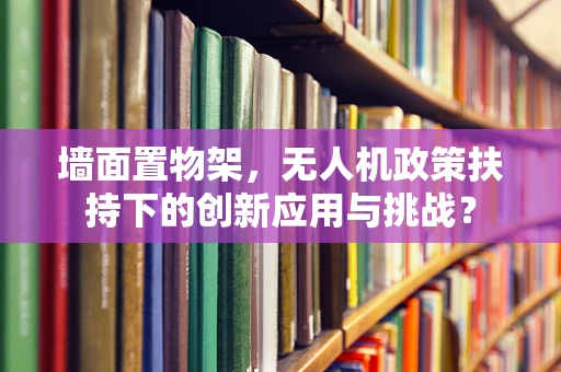 墙面置物架，无人机政策扶持下的创新应用与挑战？
