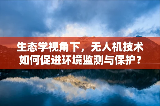 生态学视角下，无人机技术如何促进环境监测与保护？