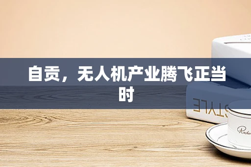 自贡，无人机产业腾飞正当时
