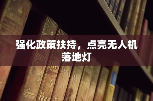 强化政策扶持，点亮无人机落地灯
