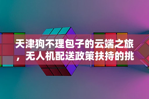 天津狗不理包子的云端之旅，无人机配送政策扶持的挑战与机遇？