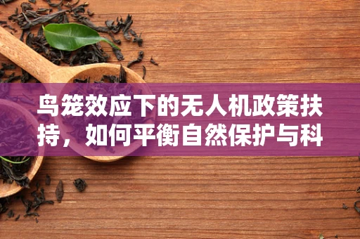 鸟笼效应下的无人机政策扶持，如何平衡自然保护与科技创新？