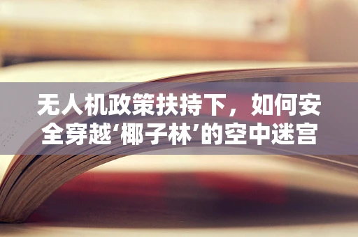 无人机政策扶持下，如何安全穿越‘椰子林’的空中迷宫？
