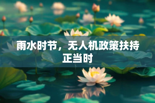 雨水时节，无人机政策扶持正当时