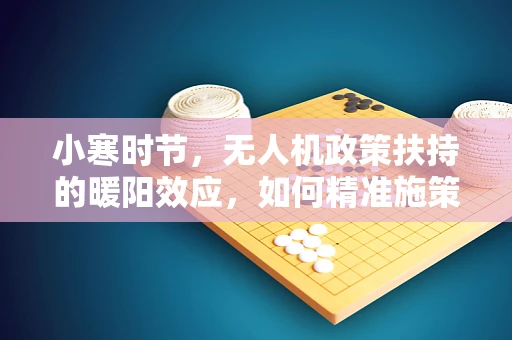 小寒时节，无人机政策扶持的暖阳效应，如何精准施策促进小型无人机发展？