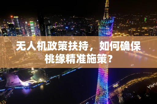 无人机政策扶持，如何确保桃缘精准施策？