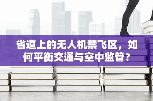 省道上的无人机禁飞区，如何平衡交通与空中监管？