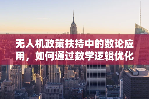 无人机政策扶持中的数论应用，如何通过数学逻辑优化监管效率？