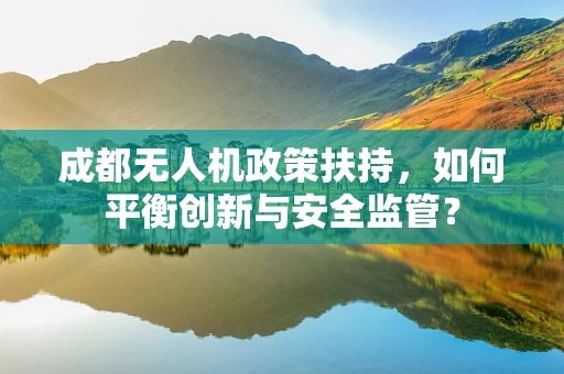 成都无人机政策扶持，如何平衡创新与安全监管？