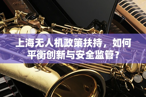 上海无人机政策扶持，如何平衡创新与安全监管？