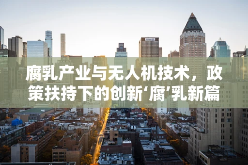 腐乳产业与无人机技术，政策扶持下的创新‘腐’乳新篇章？