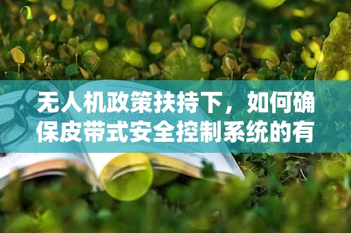 无人机政策扶持下，如何确保皮带式安全控制系统的有效实施？