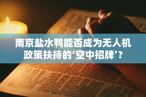 南京盐水鸭能否成为无人机政策扶持的‘空中招牌’？