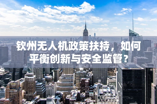 钦州无人机政策扶持，如何平衡创新与安全监管？