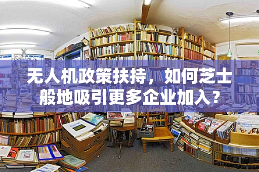 无人机政策扶持，如何芝士般地吸引更多企业加入？