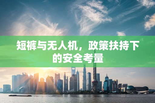 短裤与无人机，政策扶持下的安全考量