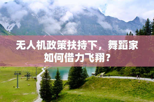 无人机政策扶持下，舞蹈家如何借力飞翔？