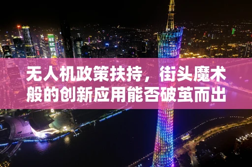 无人机政策扶持，街头魔术般的创新应用能否破茧而出？