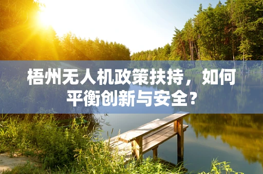 梧州无人机政策扶持，如何平衡创新与安全？