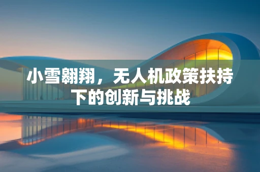 小雪翱翔，无人机政策扶持下的创新与挑战
