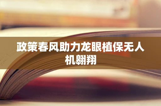 政策春风助力龙眼植保无人机翱翔