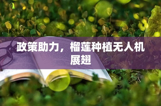政策助力，榴莲种植无人机展翅