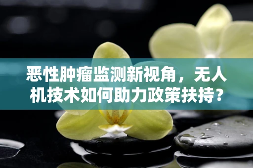 恶性肿瘤监测新视角，无人机技术如何助力政策扶持？